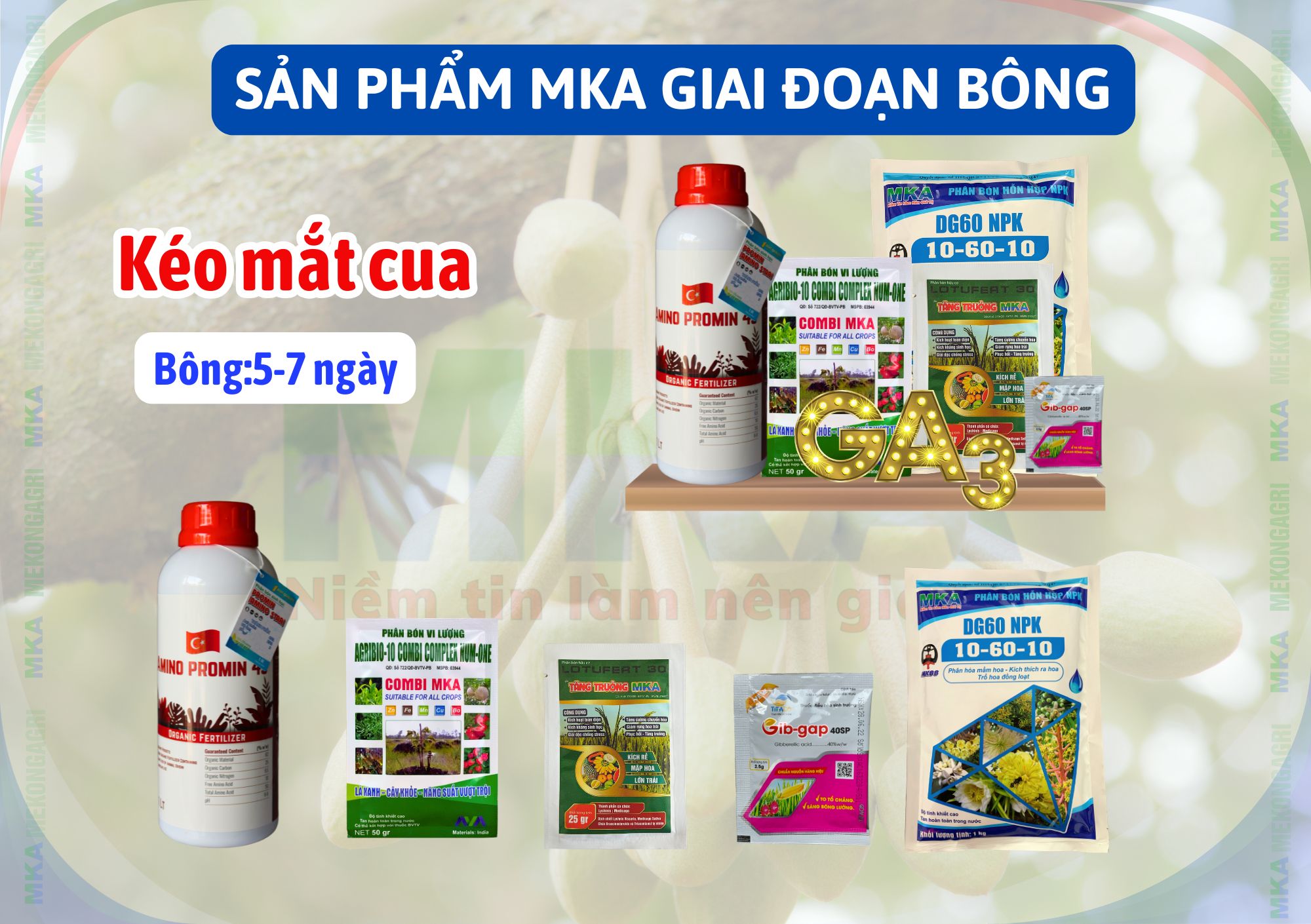 Lân cao 10-60-10 MKA chặn đọt tạo mầm kích thích ra hoa 